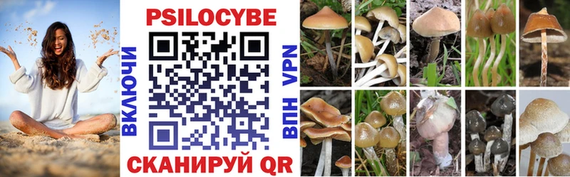 Купить где  Вязники  Псилоцибиновые грибы MAGIC MUSHROOMS 